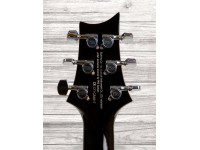 PRS SE Custom 24 BG PRS SE Custom 24 BG